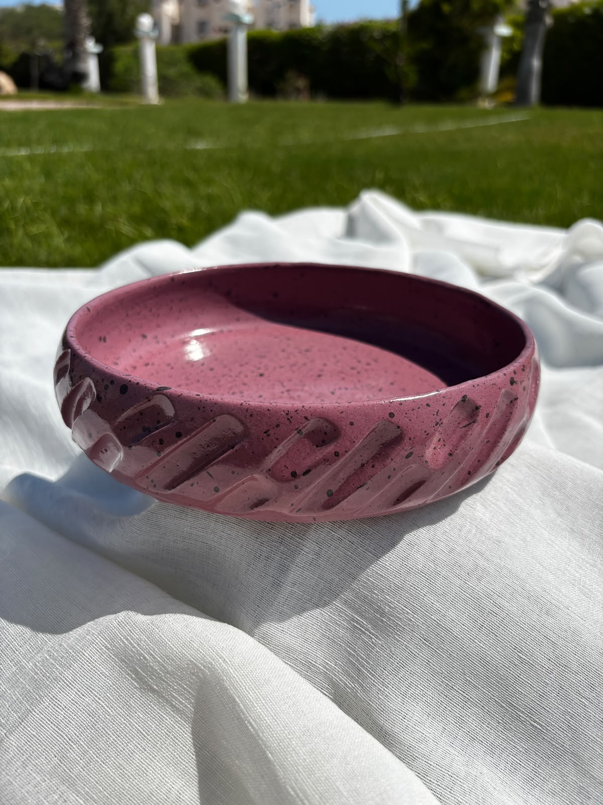 Aurea Angled Plate